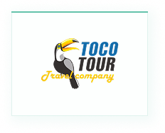 tocotour